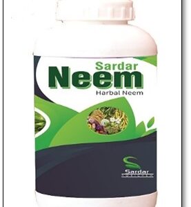 Neem