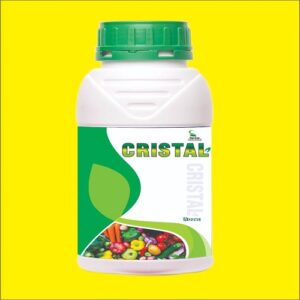 Cristal