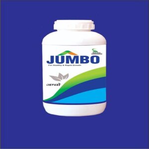 JUMBO